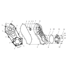 Лев поклопец на куќиштето на коленестото вратило